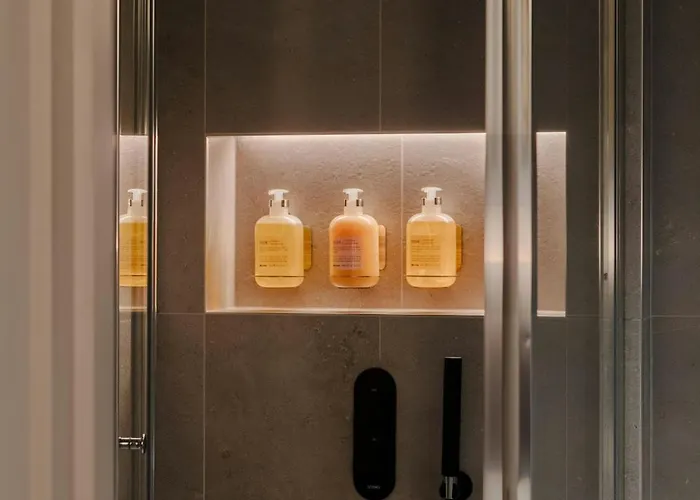 Otel The Leeson Inn Dublin